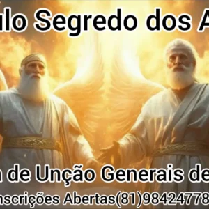 MÓDULO - SEGREDO DOS ANJOS